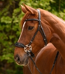 WH Pro Sensitive Bitless Bridle Black